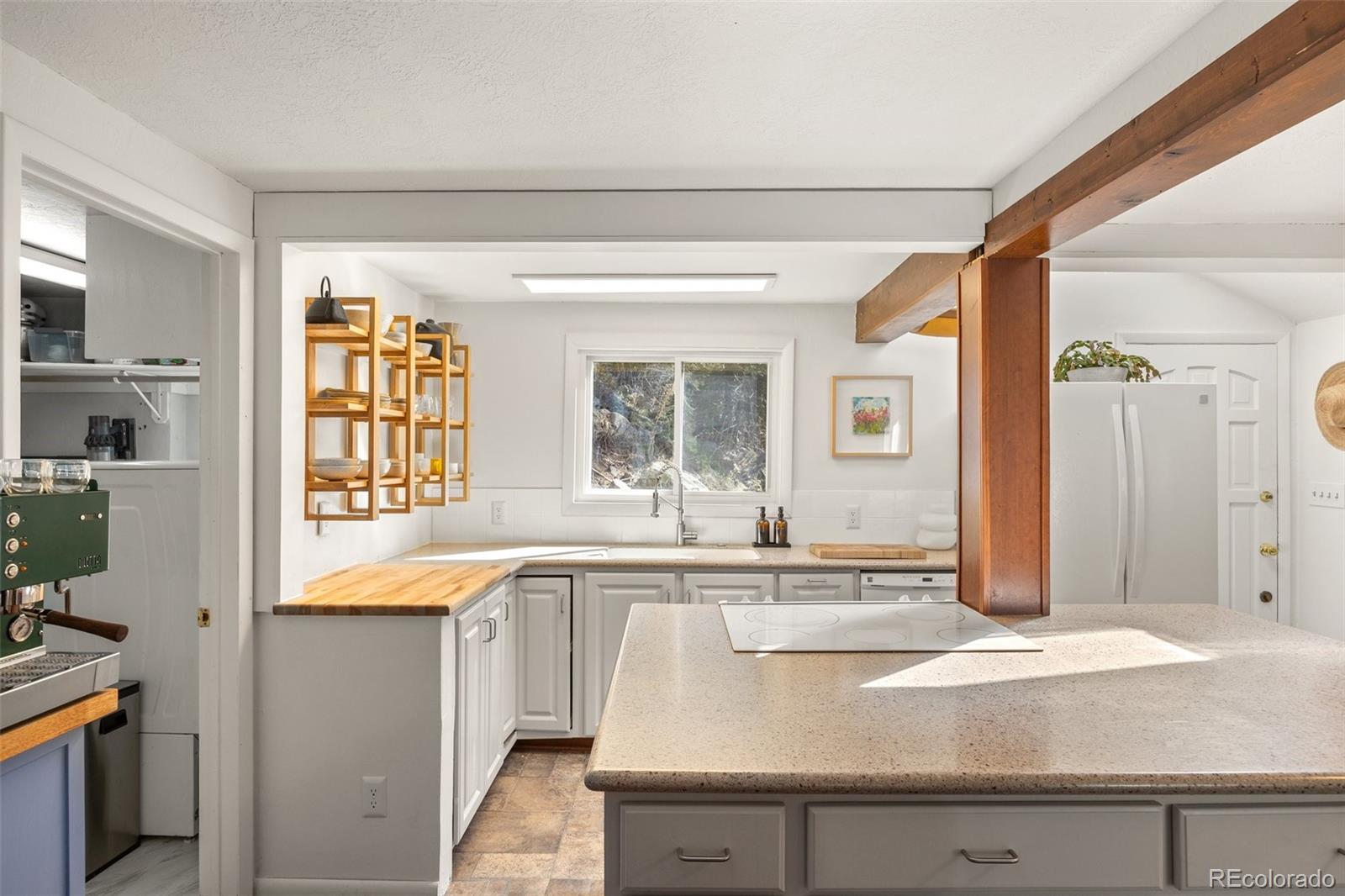 MLS Image #8 for 10179 s turkey creek road,morrison, Colorado