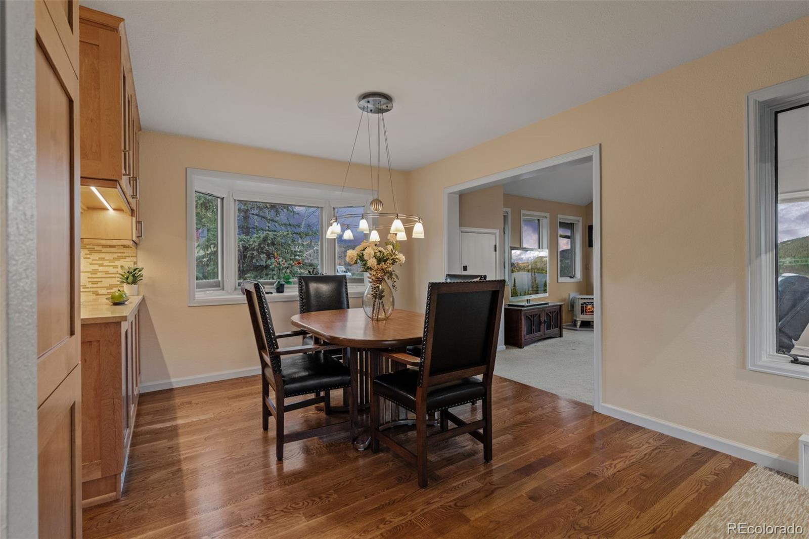 MLS Image #10 for 830  jesse lane,bailey, Colorado