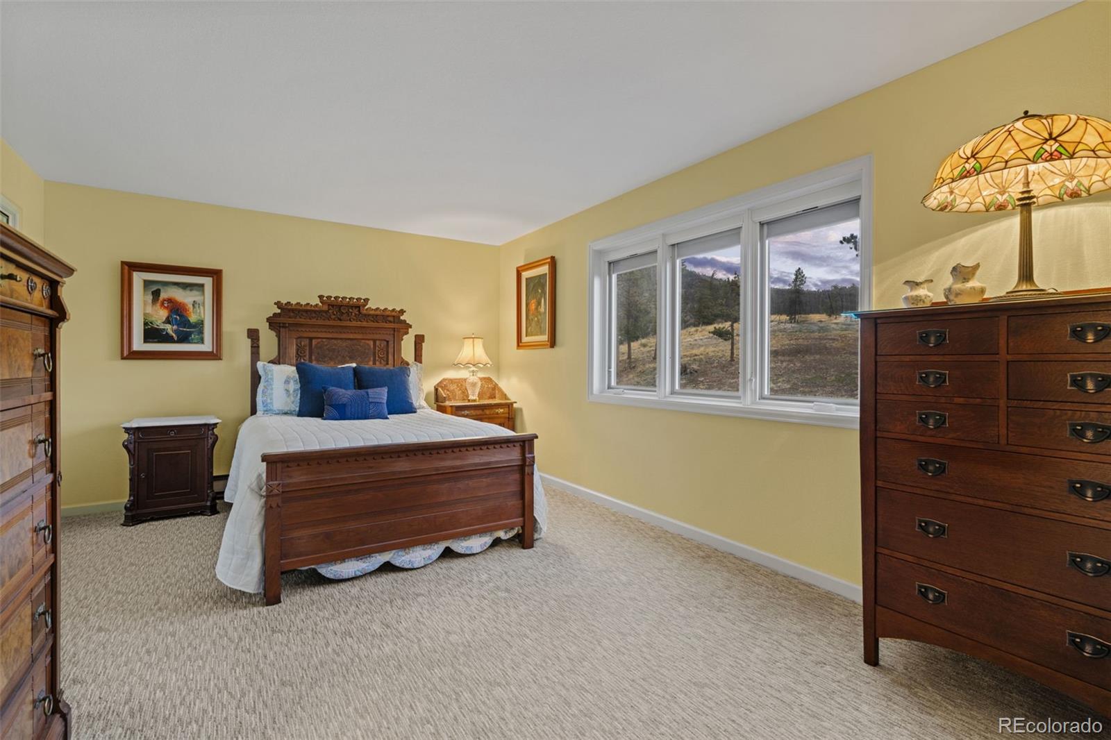 MLS Image #29 for 830  jesse lane,bailey, Colorado