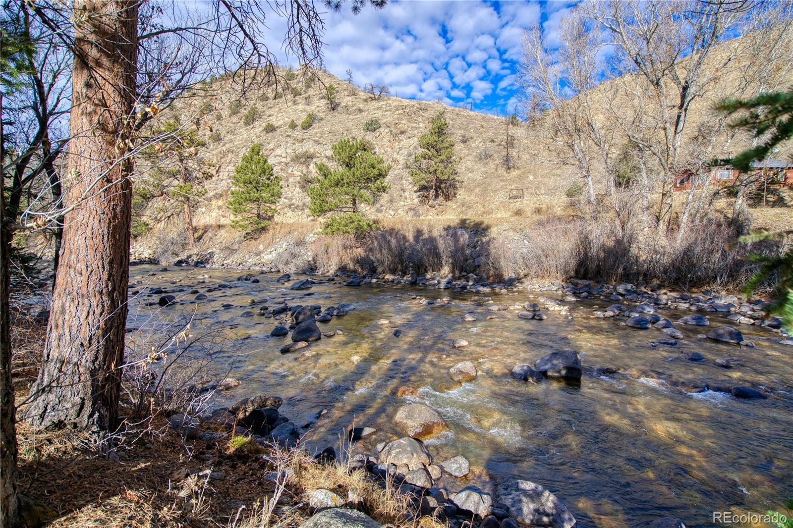 MLS Image #21 for 236  rustic road,bellvue, Colorado