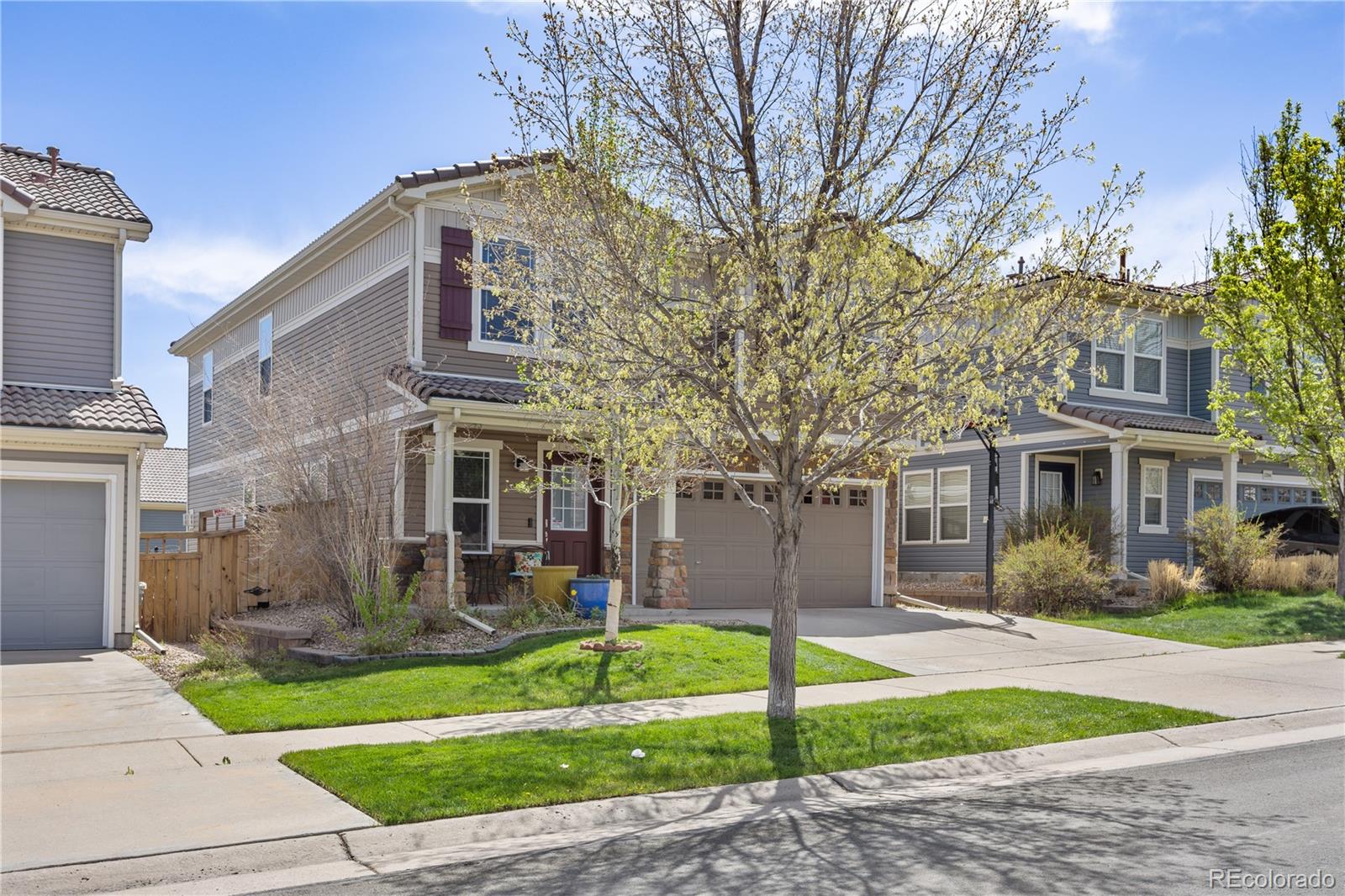 MLS Image #2 for 2410  morningview lane,castle rock, Colorado