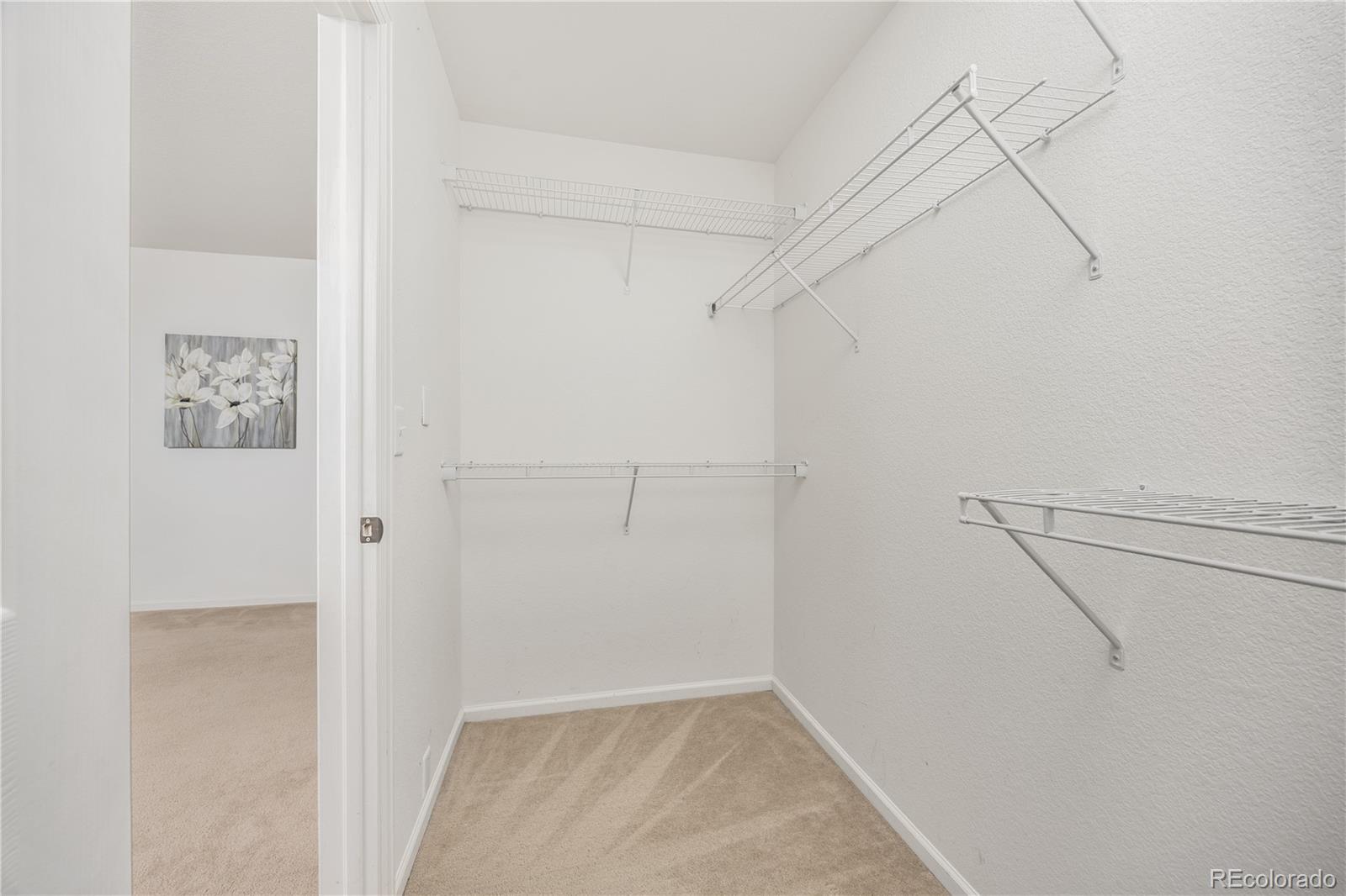 MLS Image #20 for 2410  morningview lane,castle rock, Colorado