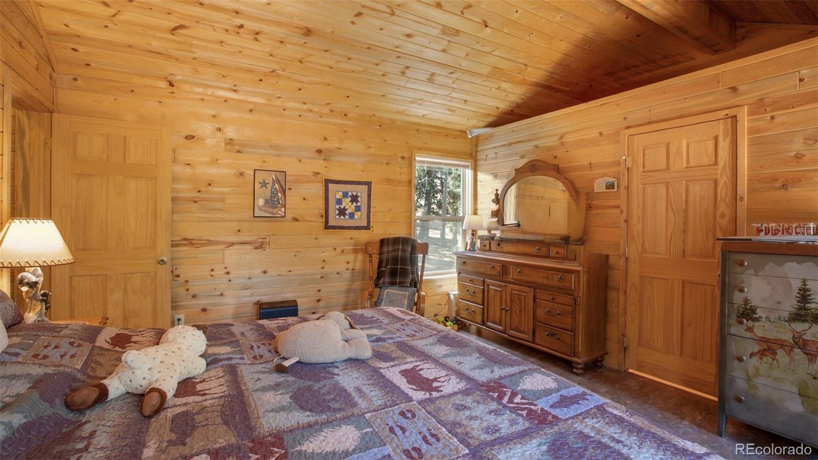 MLS Image #12 for 155  squilchuck trail,woodland park, Colorado