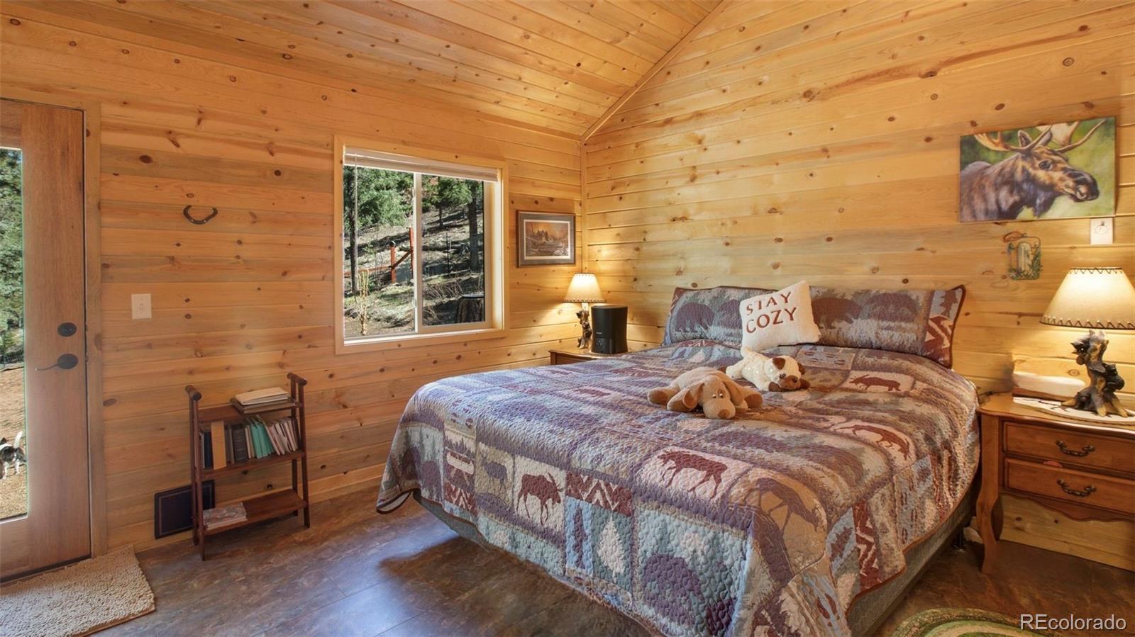 MLS Image #13 for 155  squilchuck trail,woodland park, Colorado
