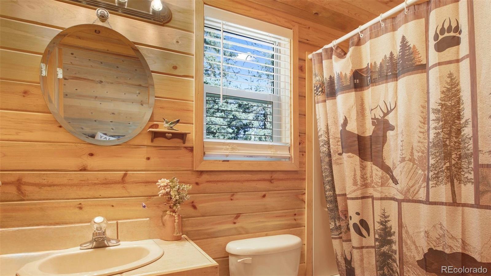 MLS Image #15 for 155  squilchuck trail,woodland park, Colorado