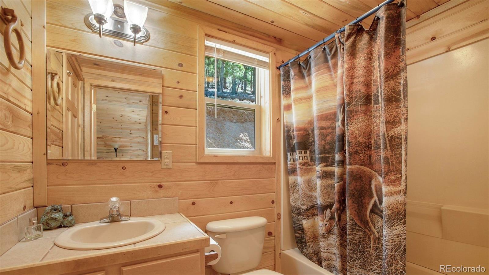 MLS Image #20 for 155  squilchuck trail,woodland park, Colorado