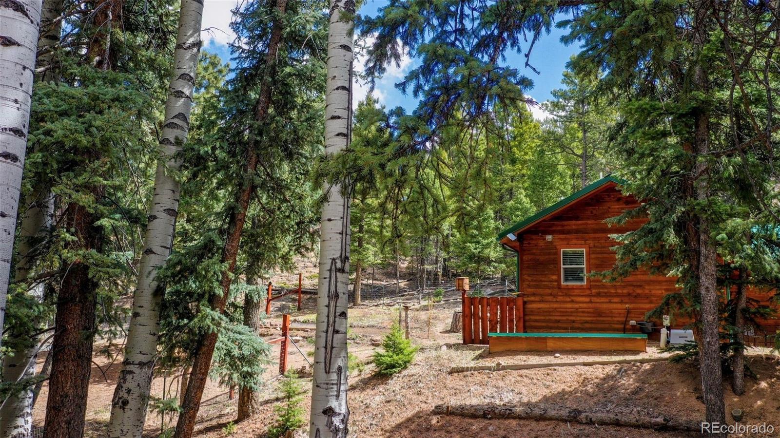 MLS Image #28 for 155  squilchuck trail,woodland park, Colorado
