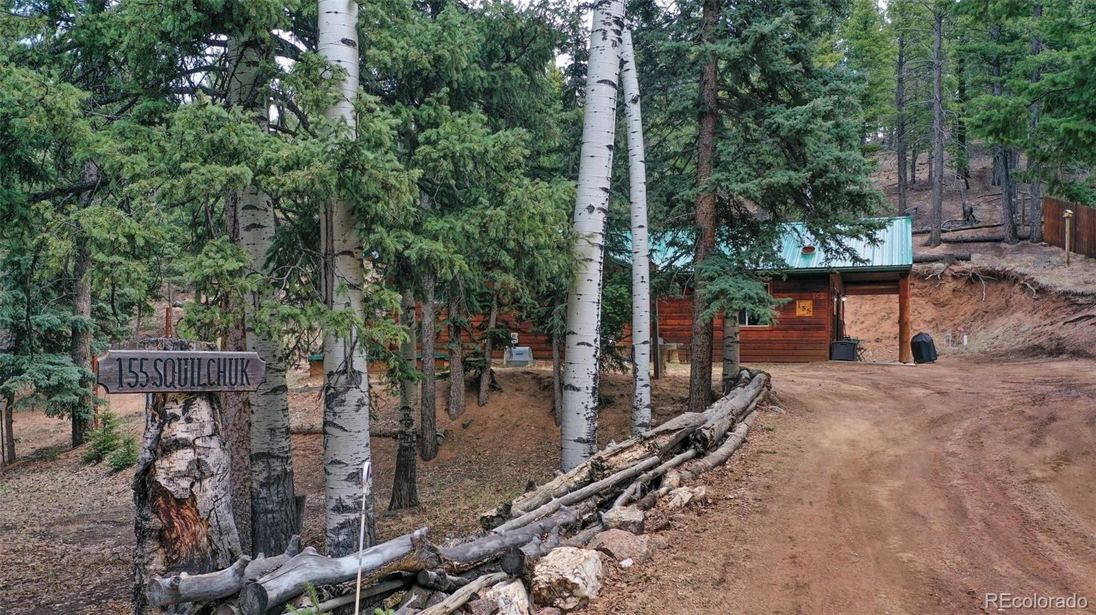 MLS Image #3 for 155  squilchuck trail,woodland park, Colorado