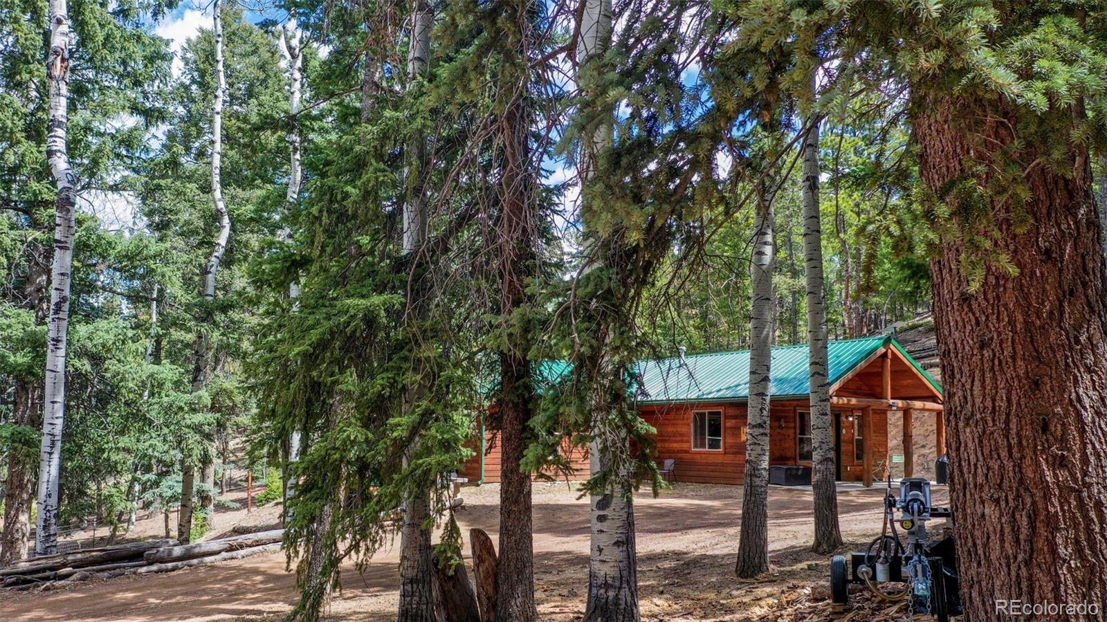 MLS Image #31 for 155  squilchuck trail,woodland park, Colorado