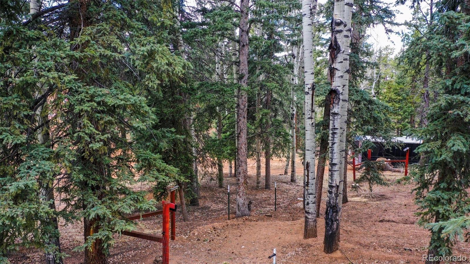 MLS Image #32 for 155  squilchuck trail,woodland park, Colorado
