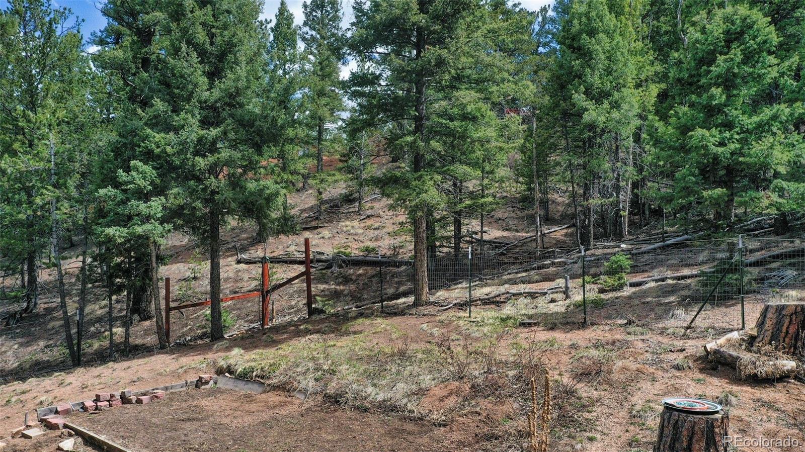 MLS Image #35 for 155  squilchuck trail,woodland park, Colorado