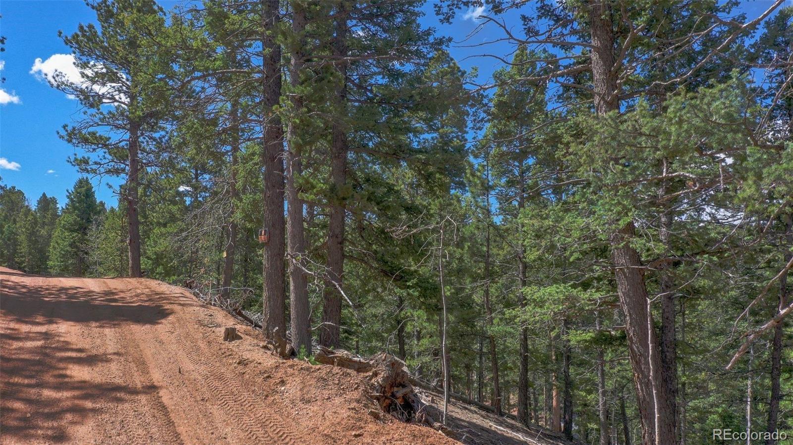 MLS Image #37 for 155  squilchuck trail,woodland park, Colorado
