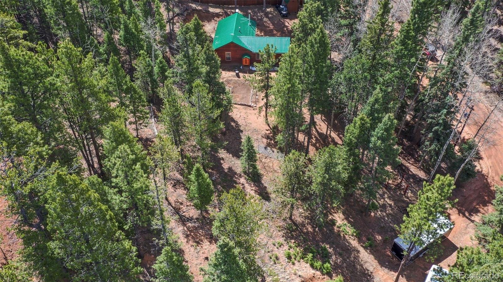 MLS Image #5 for 155  squilchuck trail,woodland park, Colorado