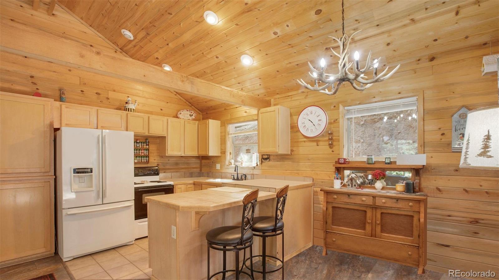 MLS Image #9 for 155  squilchuck trail,woodland park, Colorado