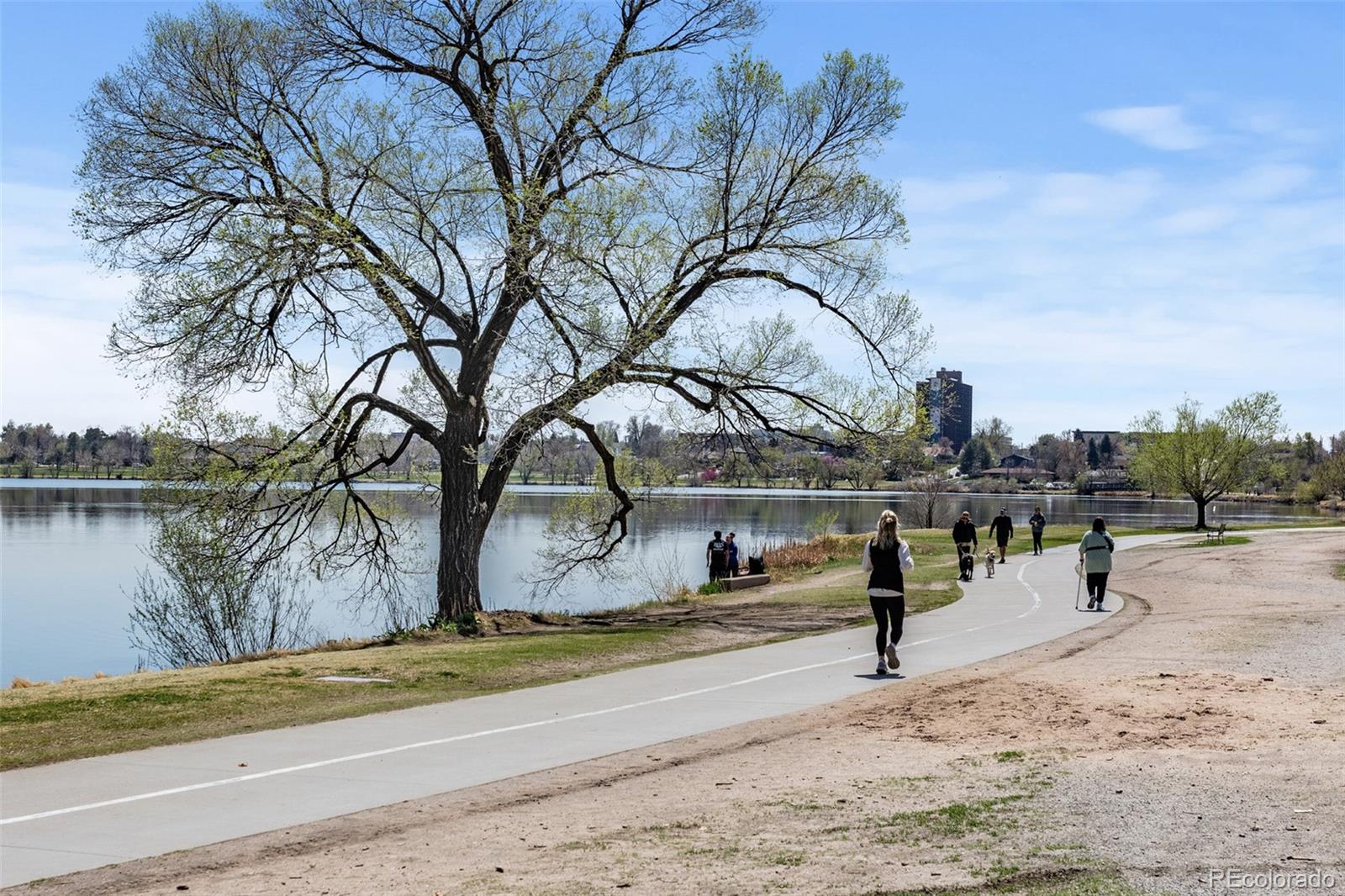 MLS Image #23 for 2565  gray street,edgewater, Colorado