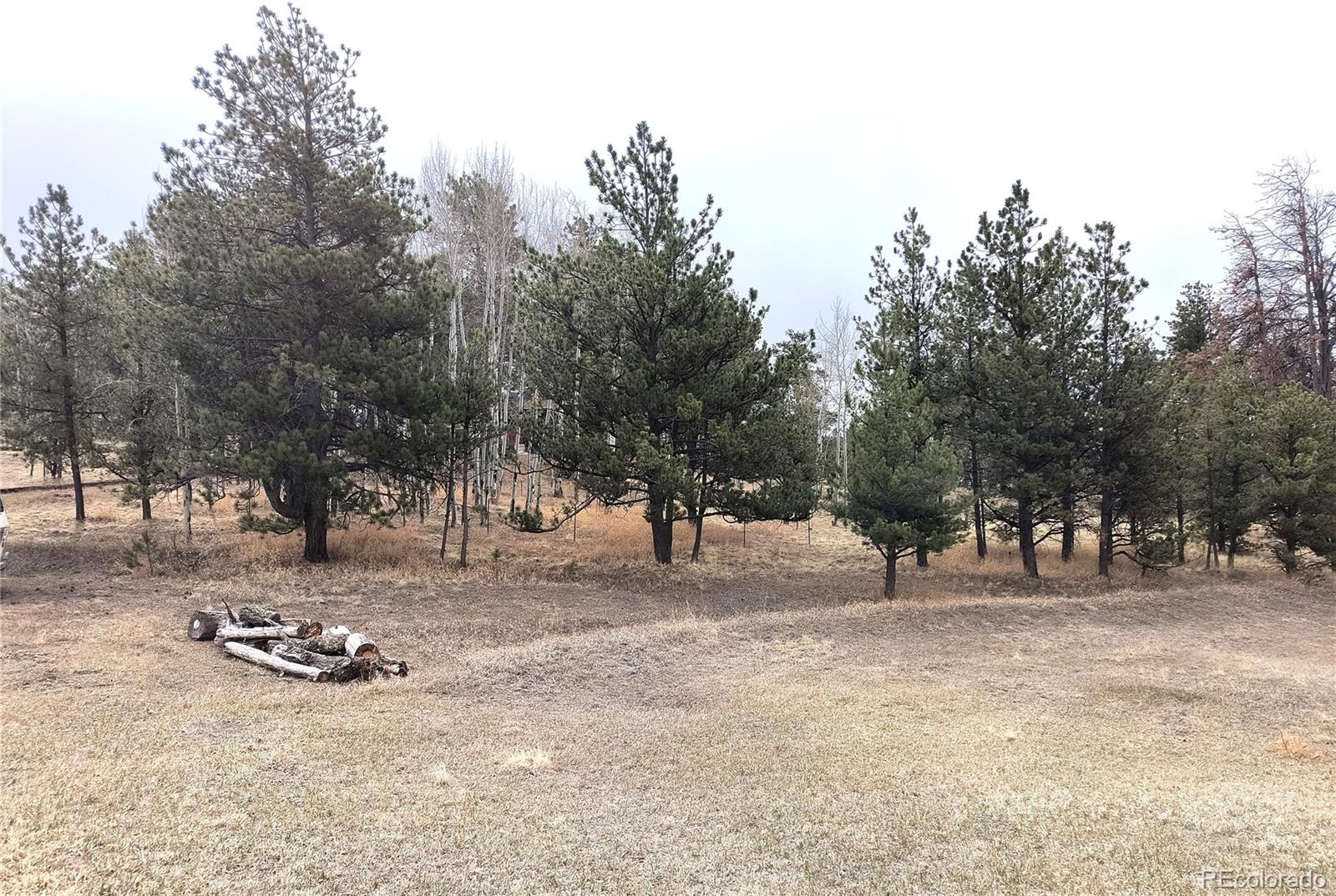 MLS Image #13 for 103  adair circle,florissant, Colorado