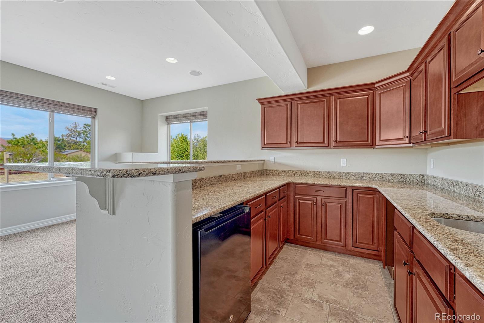 MLS Image #38 for 13818  rivercrest circle,colorado springs, Colorado