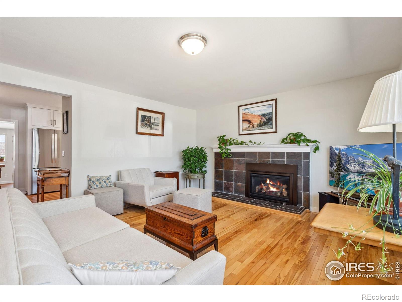 MLS Image #4 for 529  deines court,fort collins, Colorado