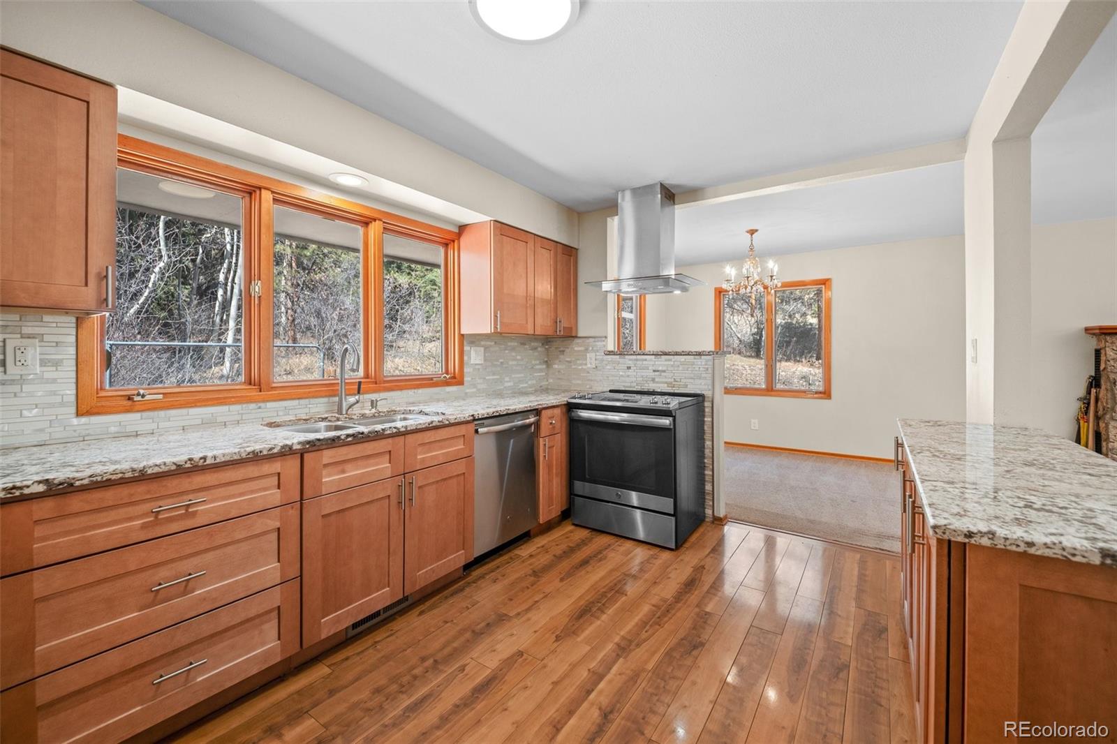 MLS Image #12 for 993  fall river road,idaho springs, Colorado