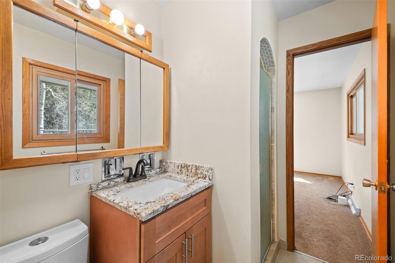 MLS Image #16 for 993  fall river road,idaho springs, Colorado