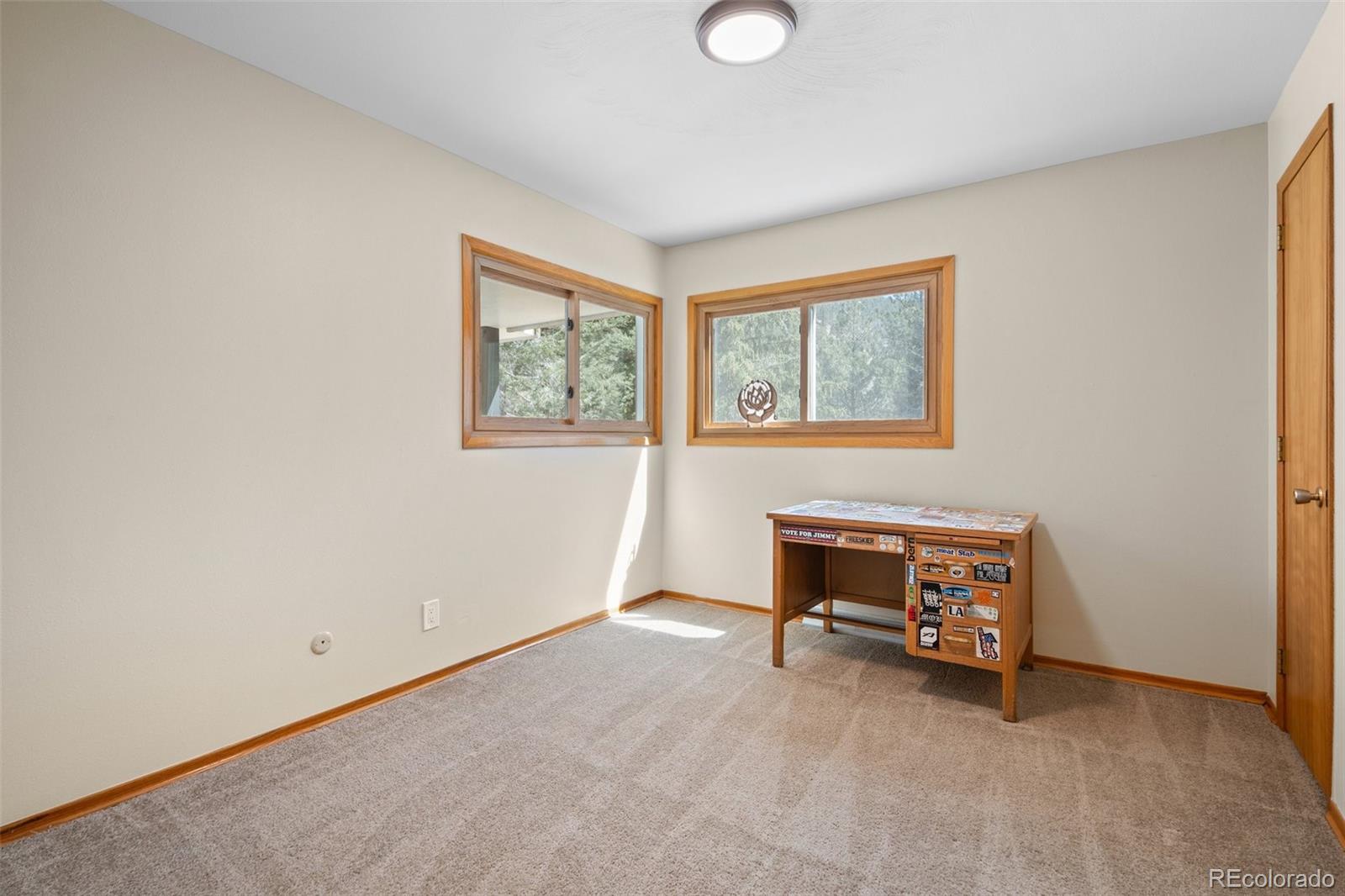 MLS Image #18 for 993  fall river road,idaho springs, Colorado