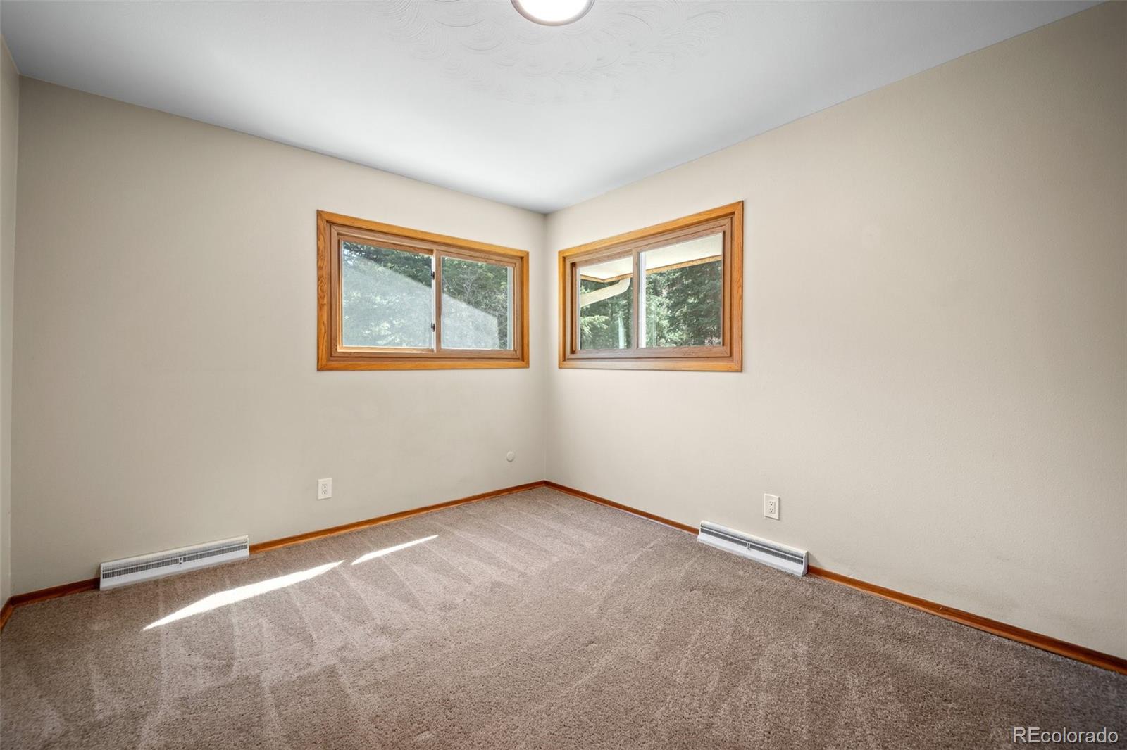 MLS Image #19 for 993  fall river road,idaho springs, Colorado