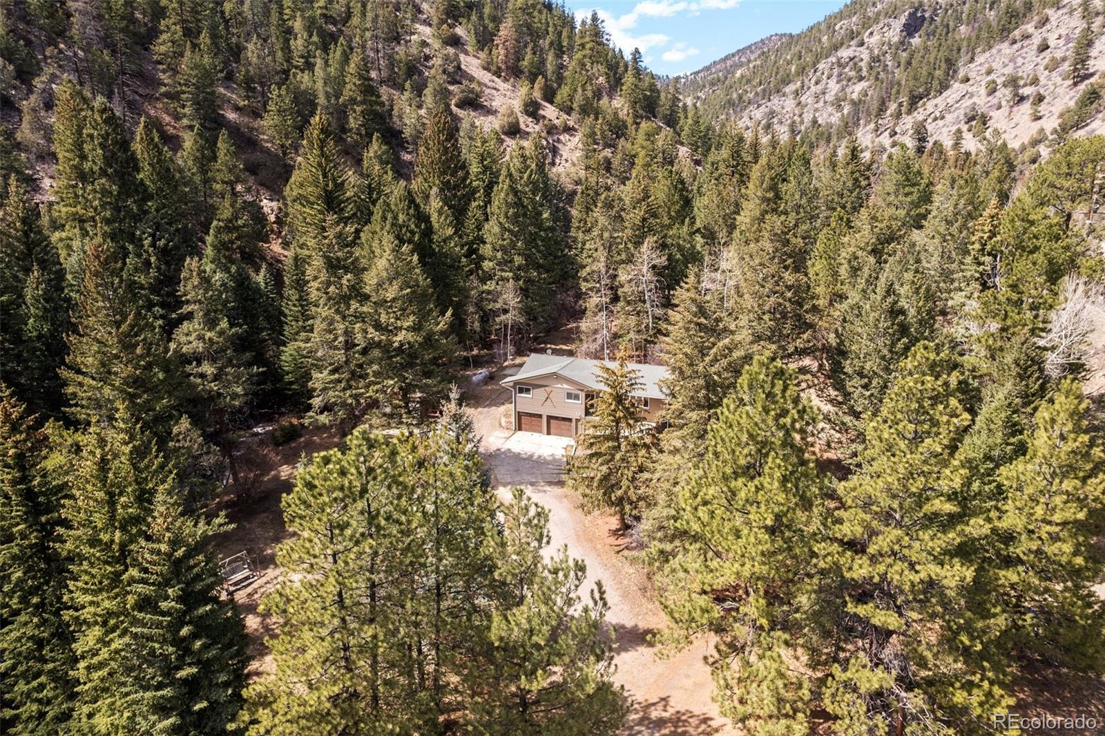 MLS Image #2 for 993  fall river road,idaho springs, Colorado
