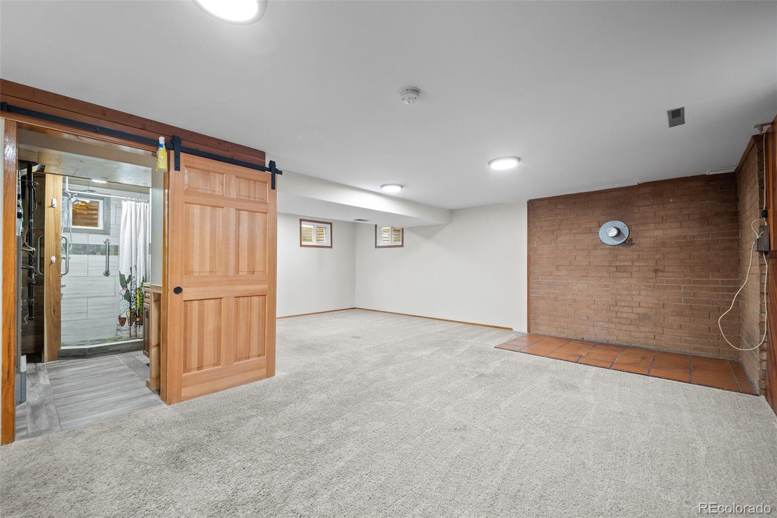 MLS Image #20 for 993  fall river road,idaho springs, Colorado