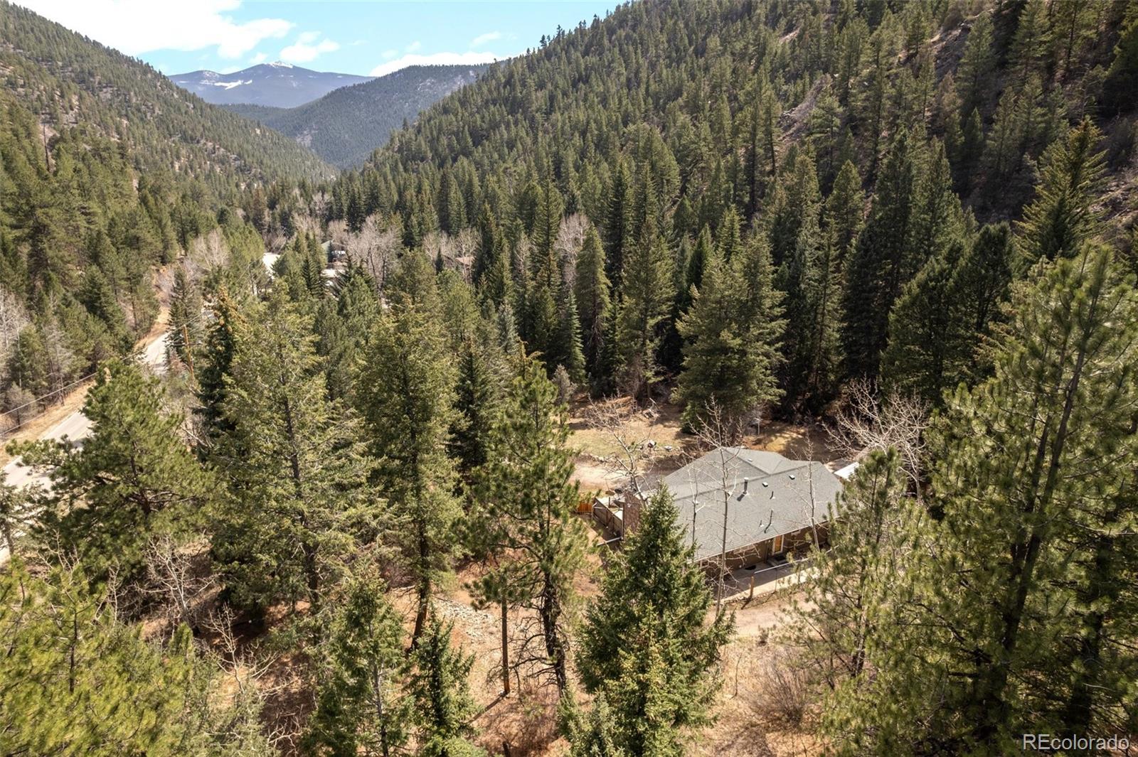 MLS Image #27 for 993  fall river road,idaho springs, Colorado