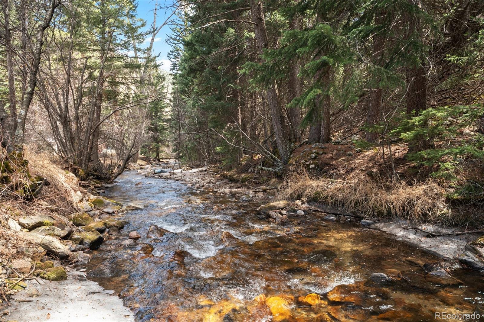 MLS Image #3 for 993  fall river road,idaho springs, Colorado