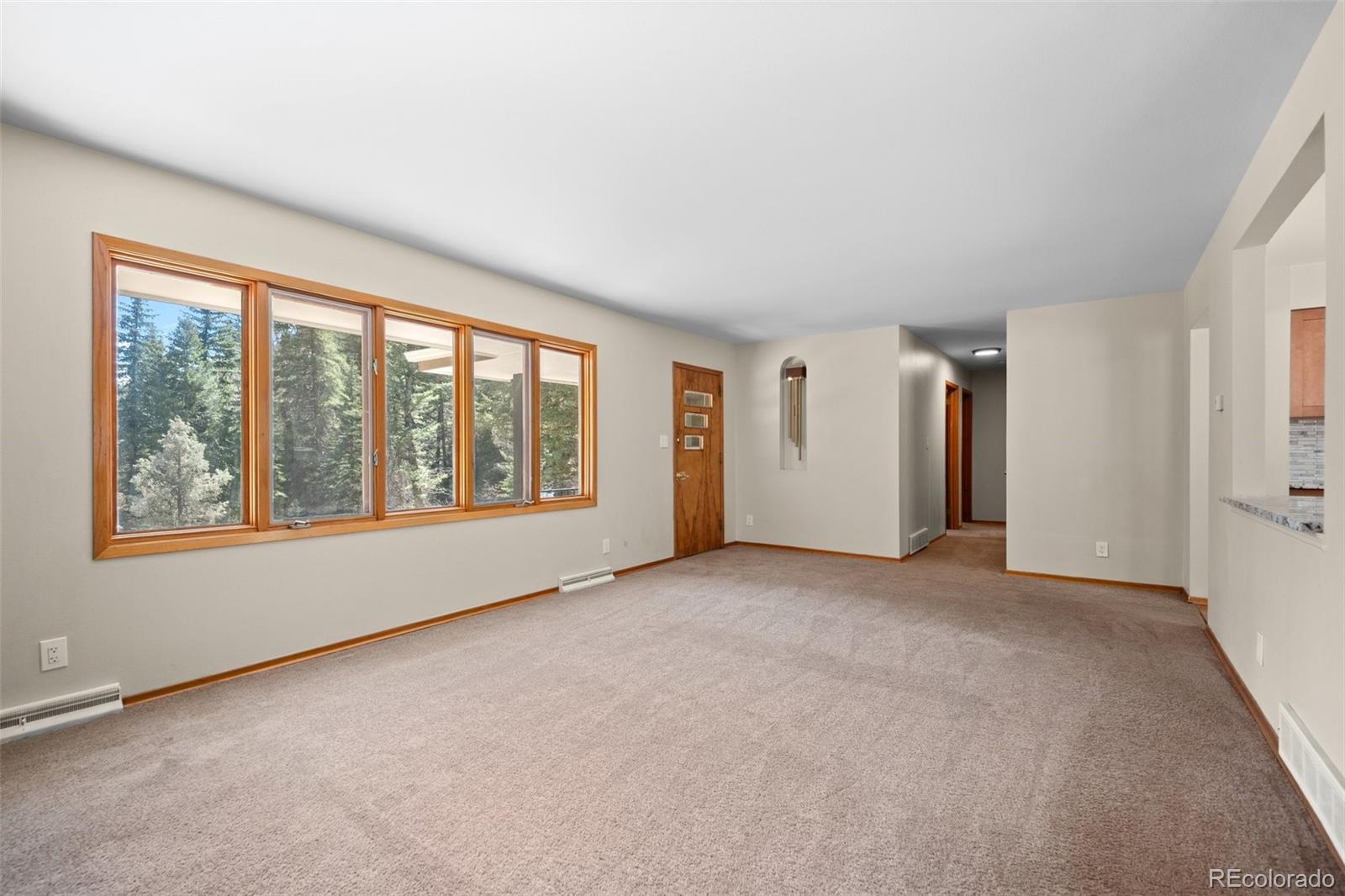 MLS Image #7 for 993  fall river road,idaho springs, Colorado