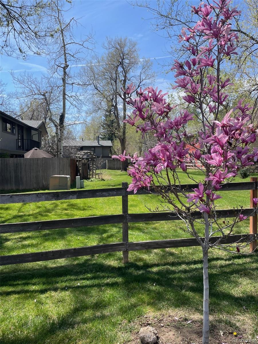 MLS Image #25 for 1172  juniper avenue,boulder, Colorado