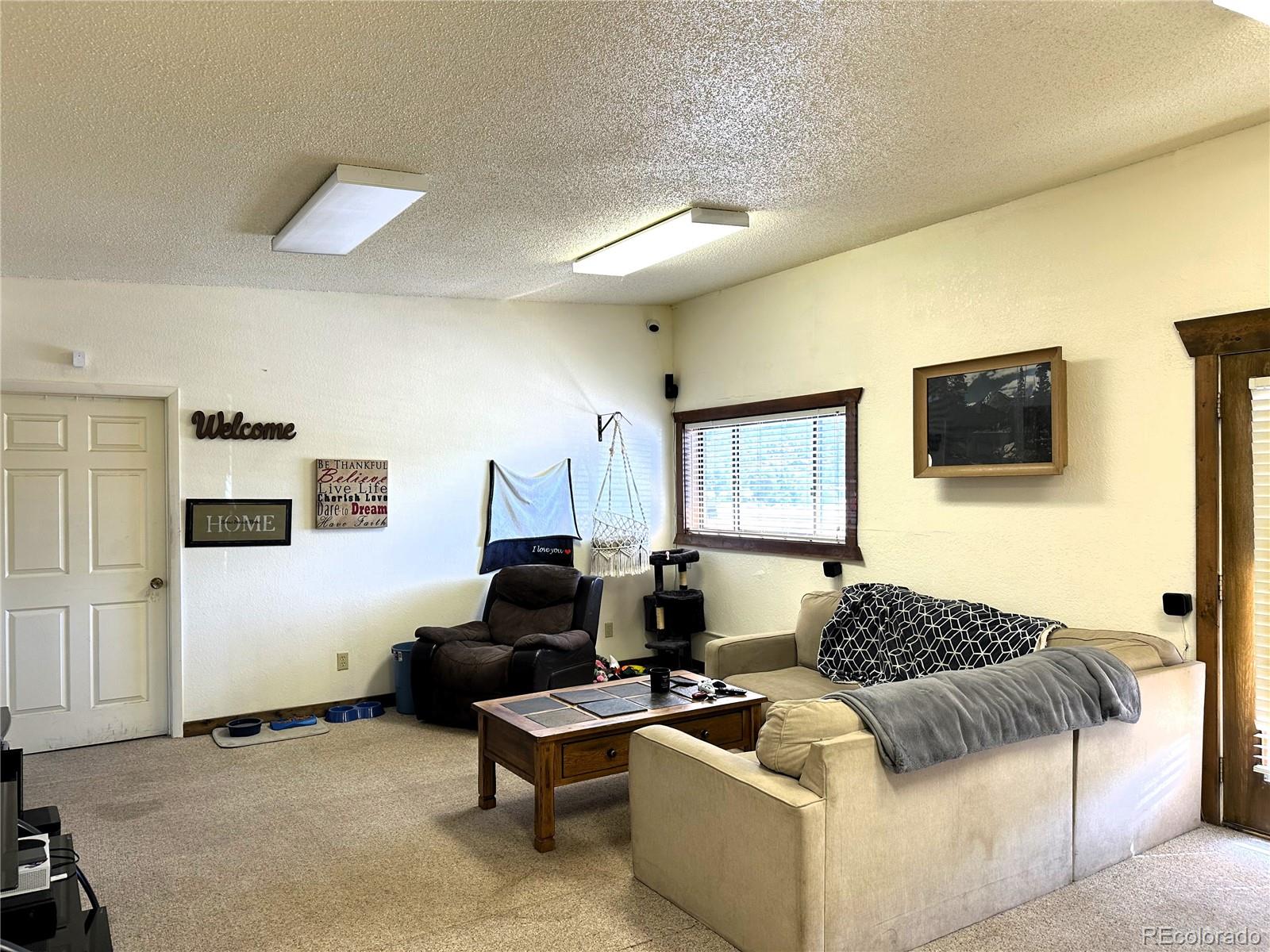MLS Image #4 for 8180  us highway 50 ,howard, Colorado