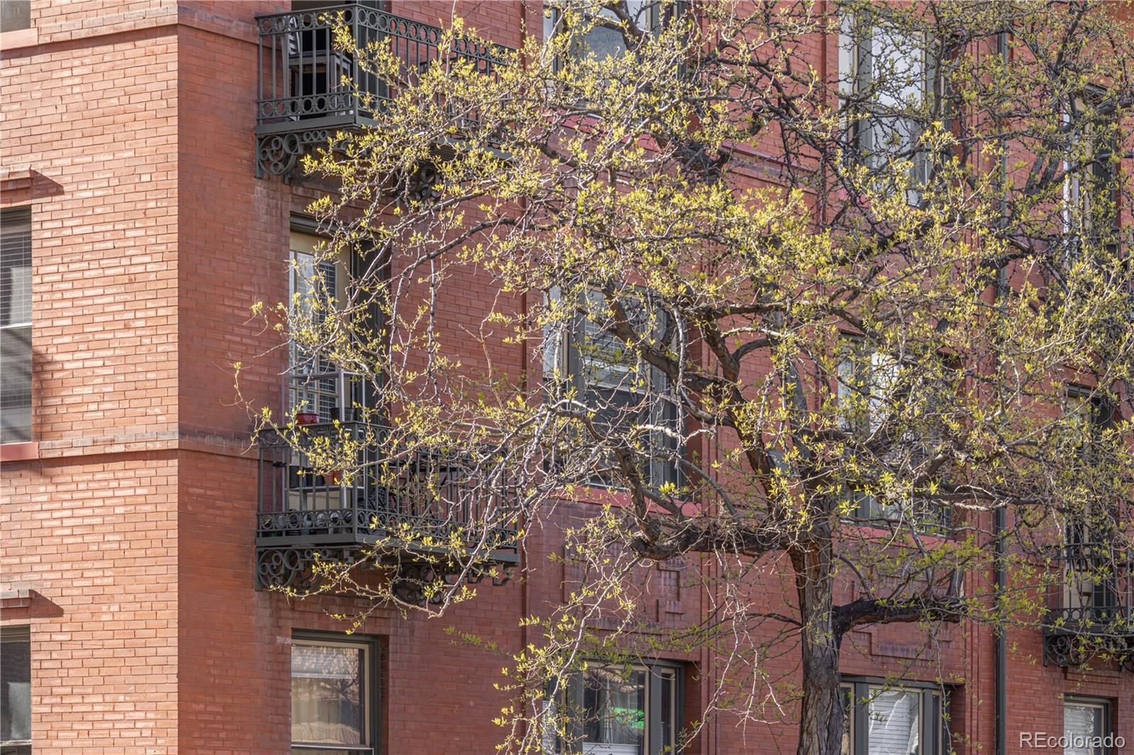MLS Image #27 for 1475 n humboldt street,denver, Colorado