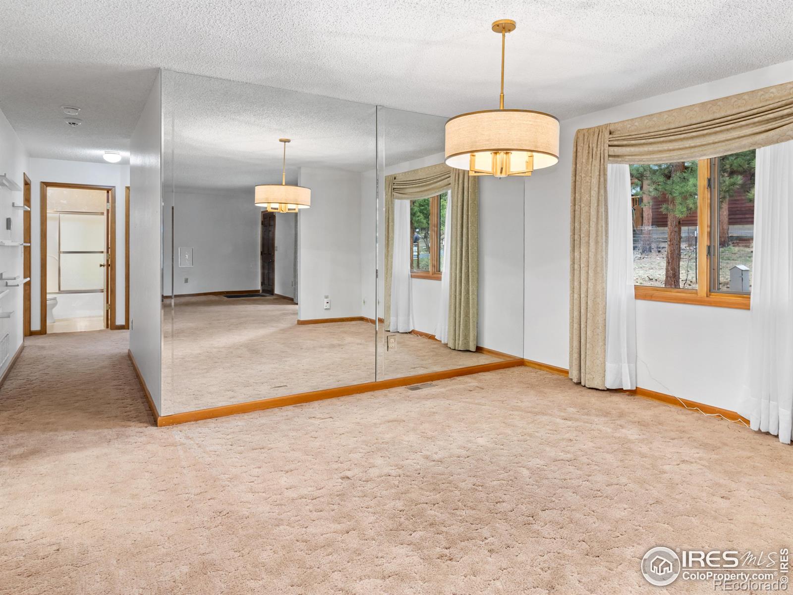 MLS Image #18 for 1017  pine knoll drive,estes park, Colorado