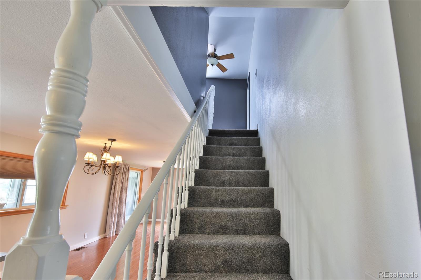 MLS Image #14 for 58590  pe 3/10 road,collbran, Colorado