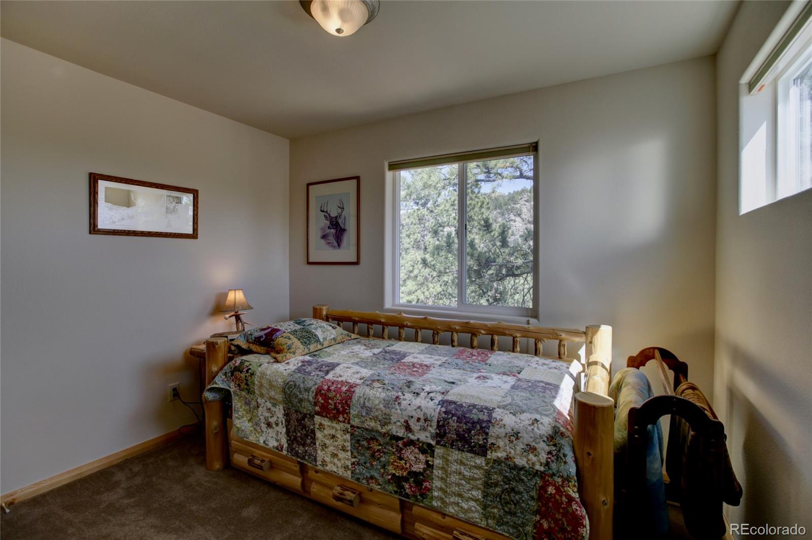 MLS Image #12 for 530 & 592  red feather road,cotopaxi, Colorado