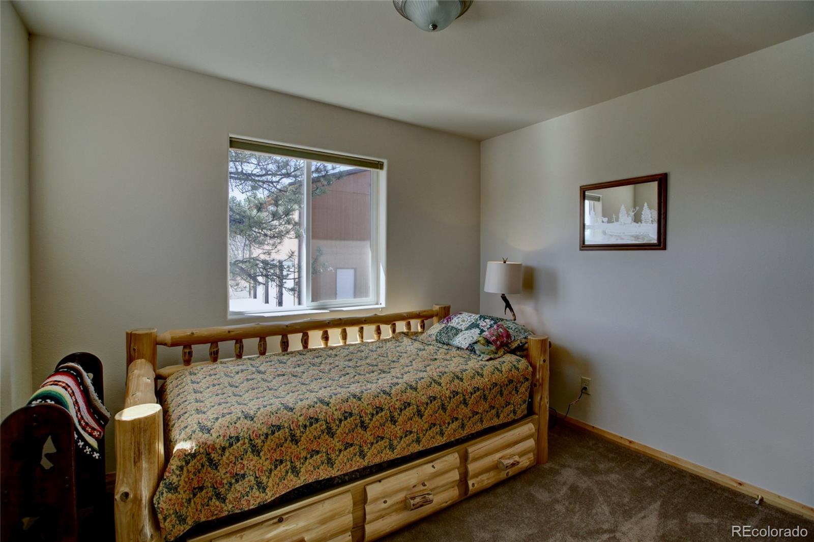 MLS Image #14 for 530 & 592  red feather road,cotopaxi, Colorado
