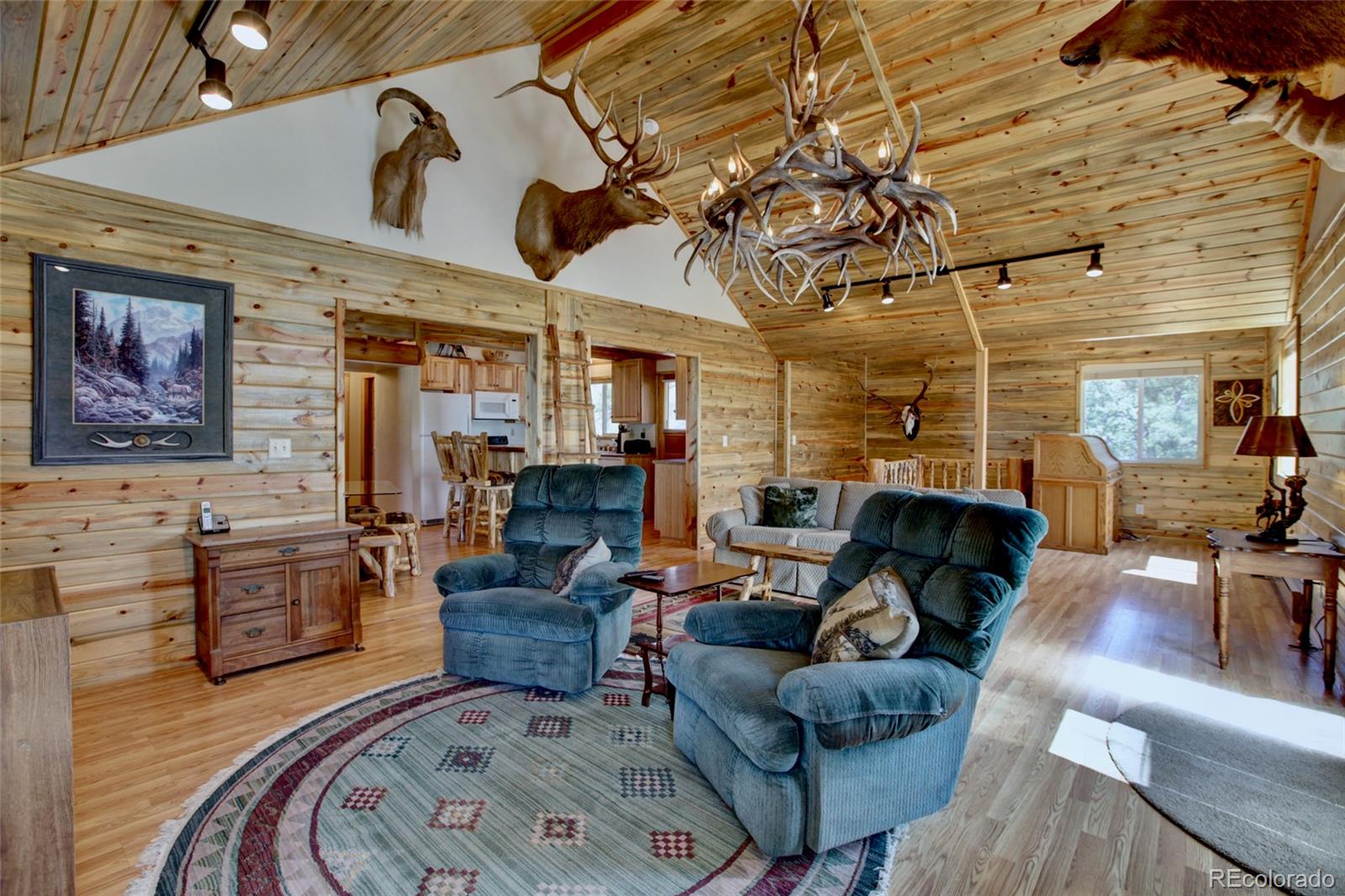 MLS Image #2 for 530 & 592  red feather road,cotopaxi, Colorado