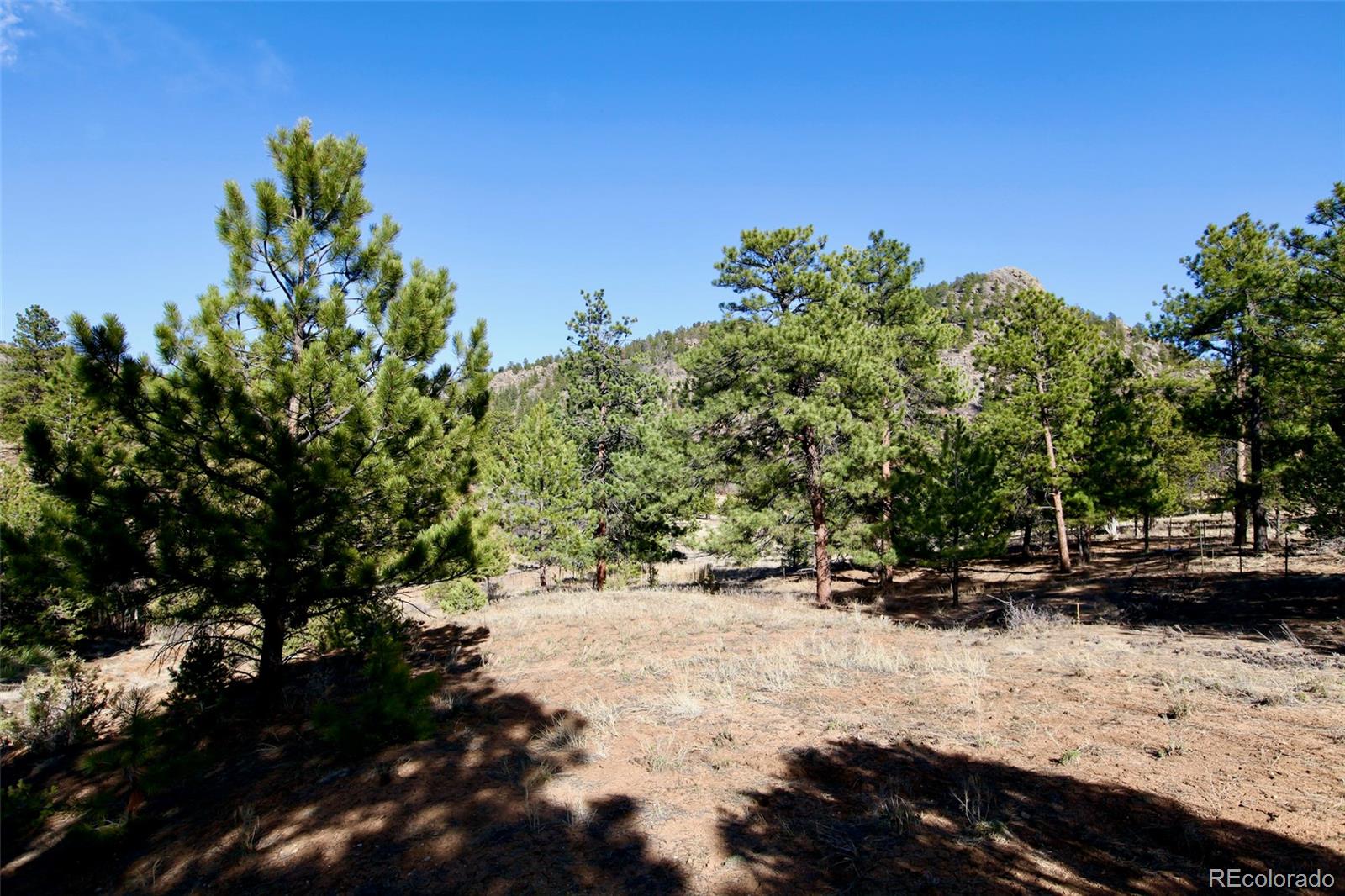 MLS Image #49 for 530 & 592  red feather road,cotopaxi, Colorado