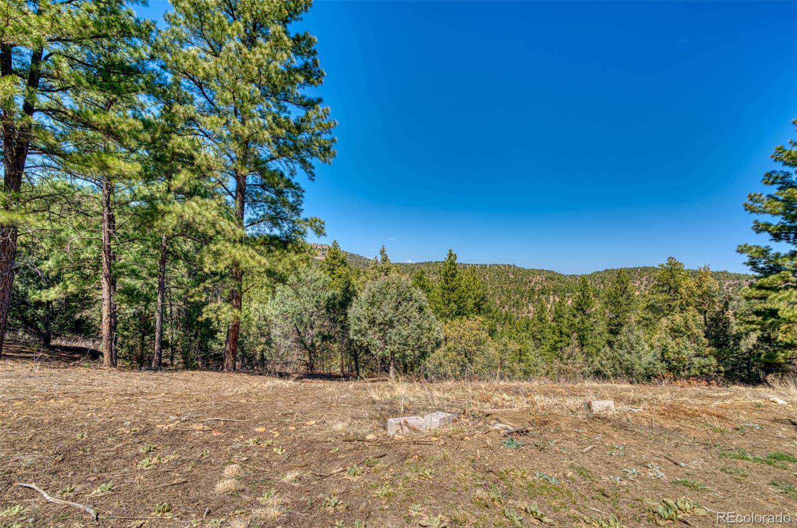 MLS Image #28 for 33031  ponderosa ridge drive,trinidad, Colorado