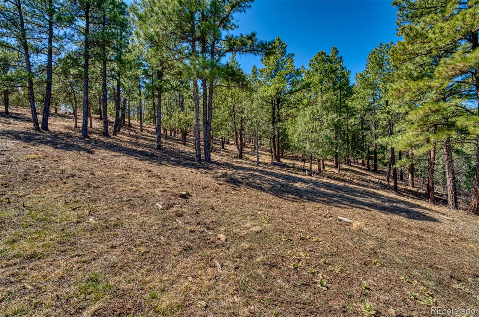 MLS Image #29 for 33031  ponderosa ridge drive,trinidad, Colorado