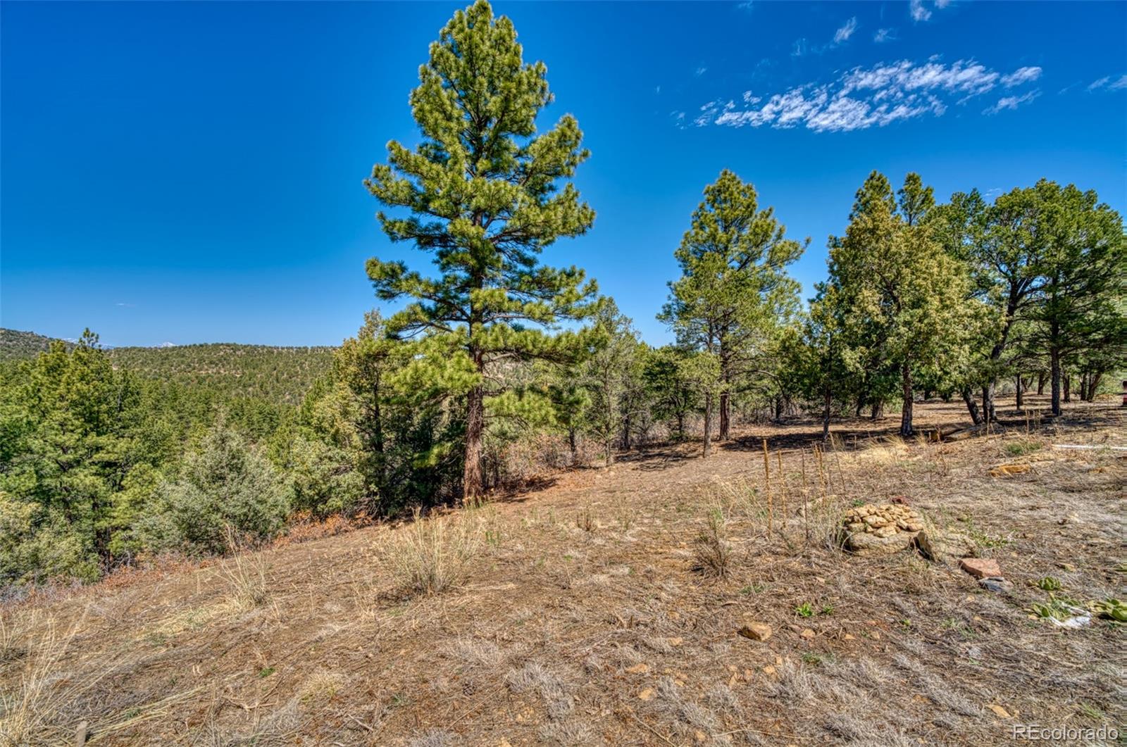 MLS Image #30 for 33031  ponderosa ridge drive,trinidad, Colorado