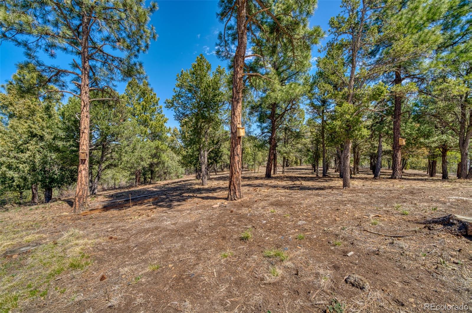 MLS Image #31 for 33031  ponderosa ridge drive,trinidad, Colorado