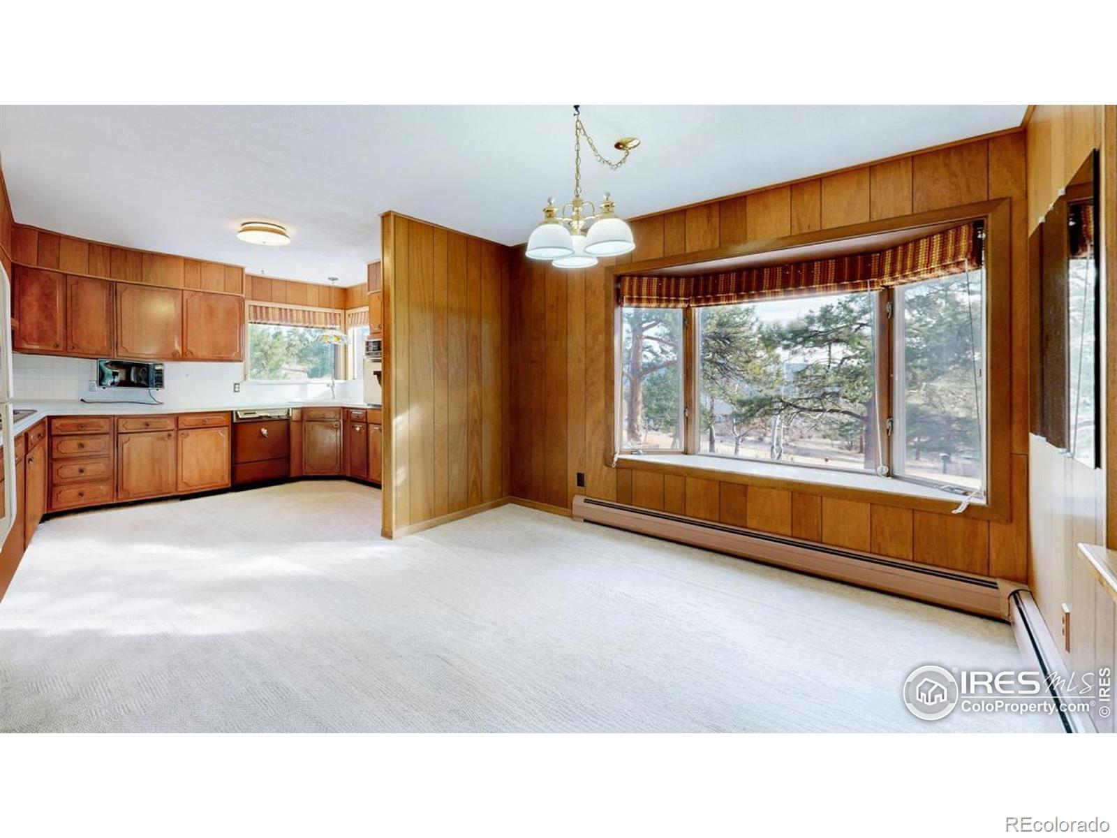 MLS Image #20 for 1545  prospect mountain road,estes park, Colorado