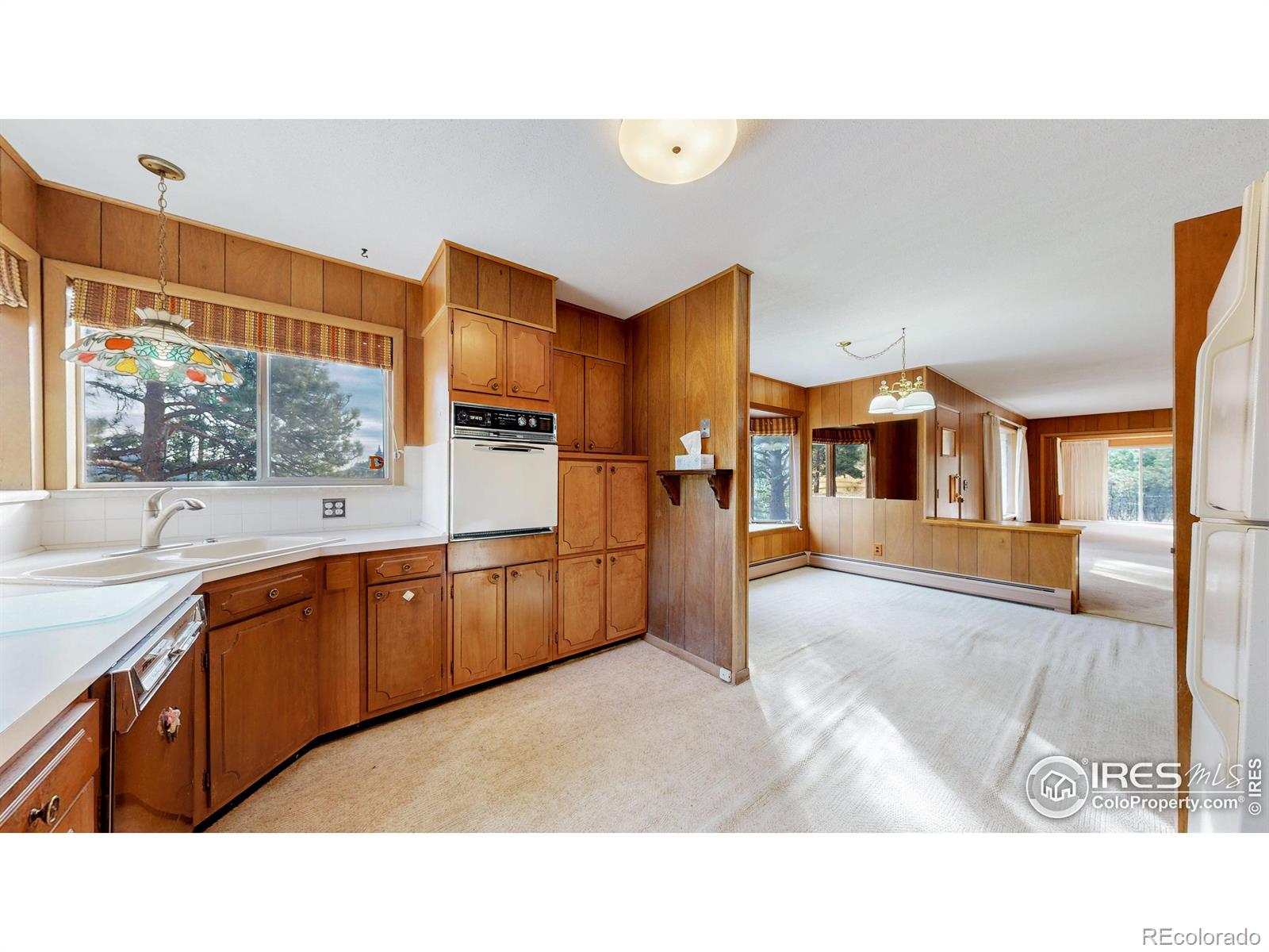 MLS Image #21 for 1545  prospect mountain road,estes park, Colorado