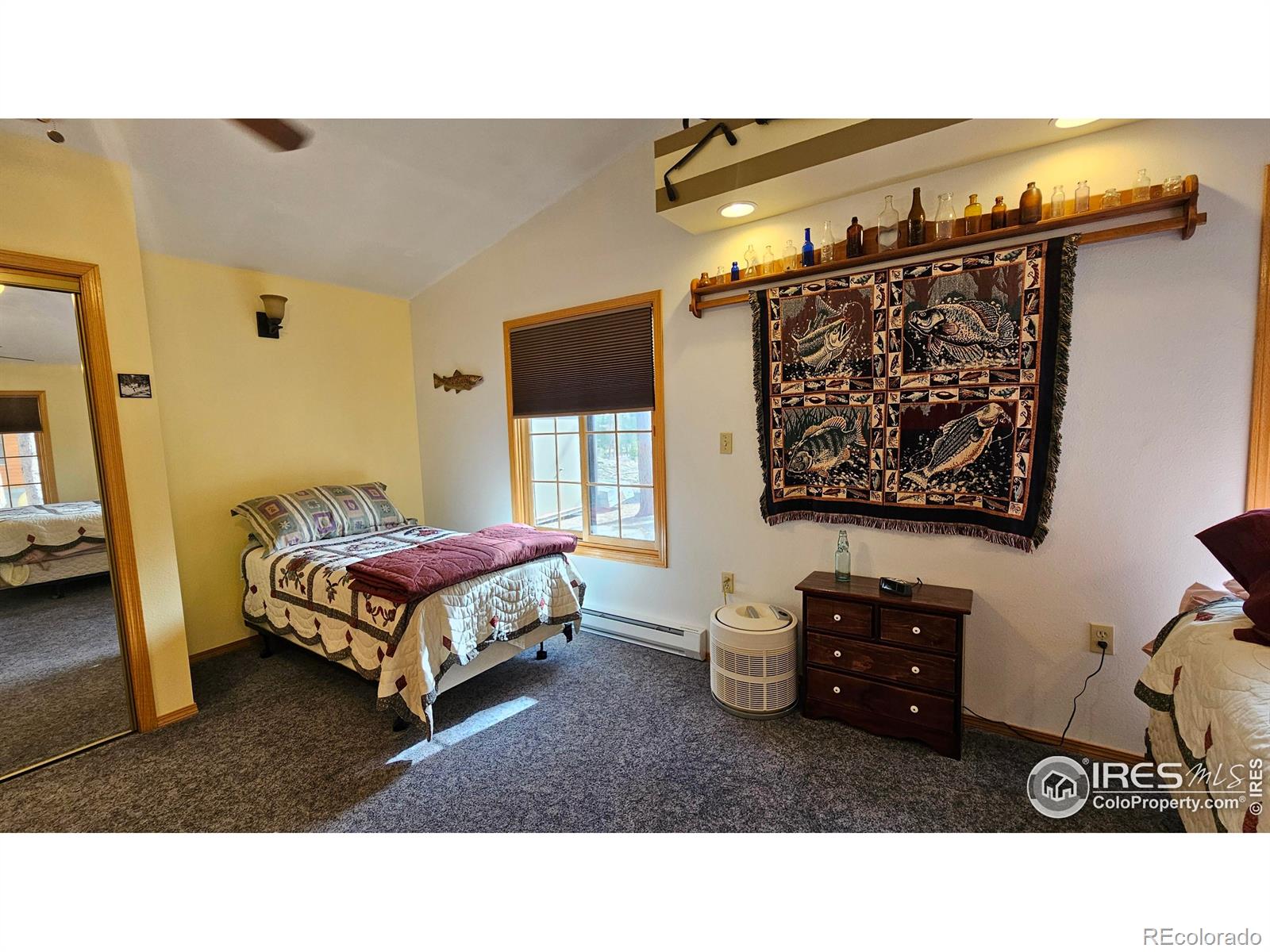 MLS Image #10 for 188  snake lake drive,red feather lakes, Colorado