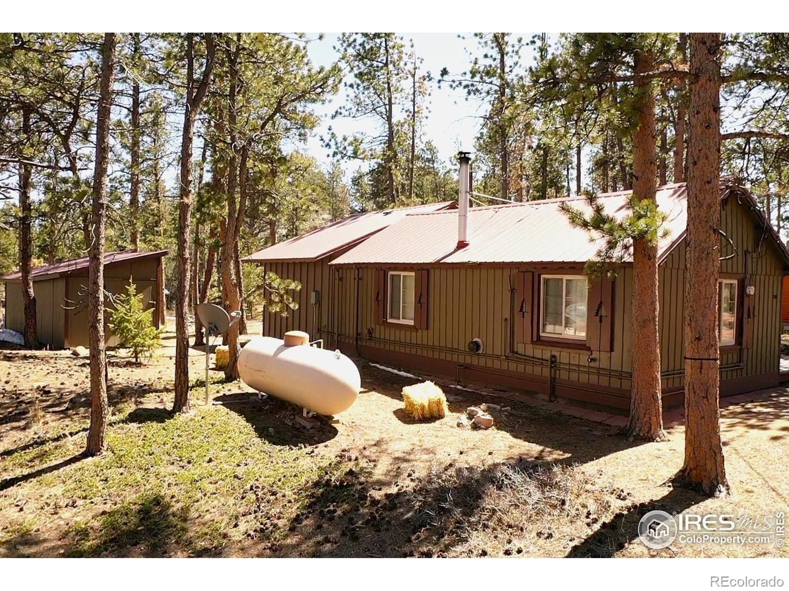 MLS Image #20 for 188  snake lake drive,red feather lakes, Colorado