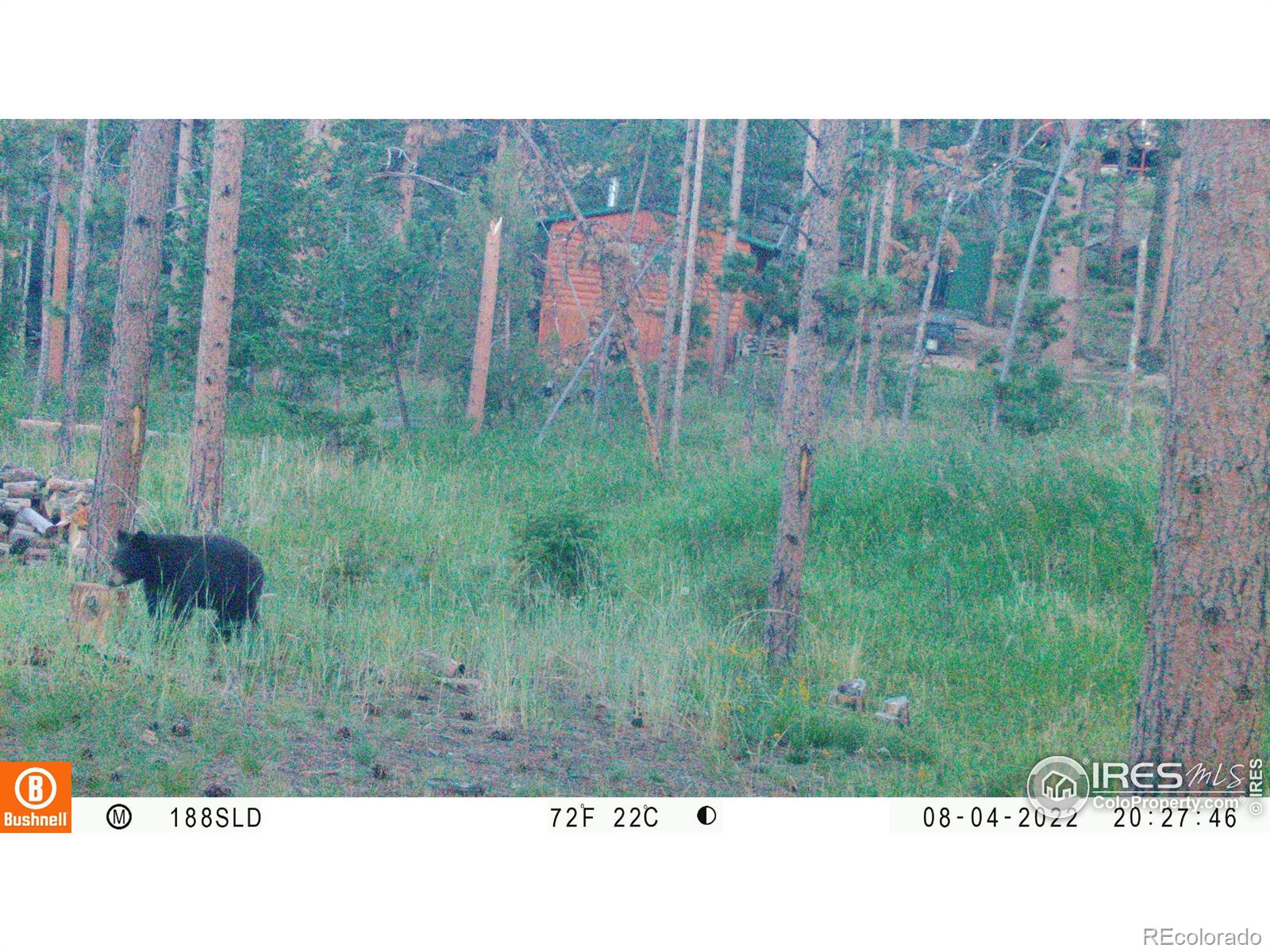 MLS Image #24 for 188  snake lake drive,red feather lakes, Colorado