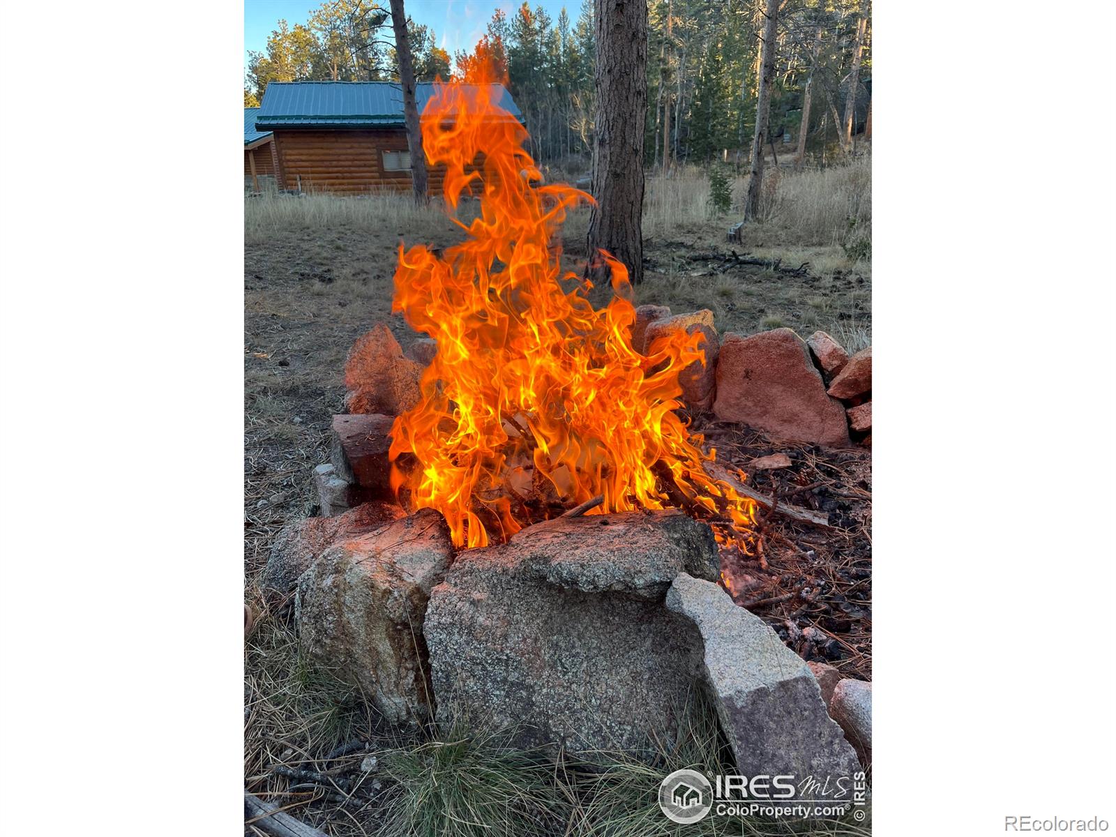 MLS Image #26 for 188  snake lake drive,red feather lakes, Colorado